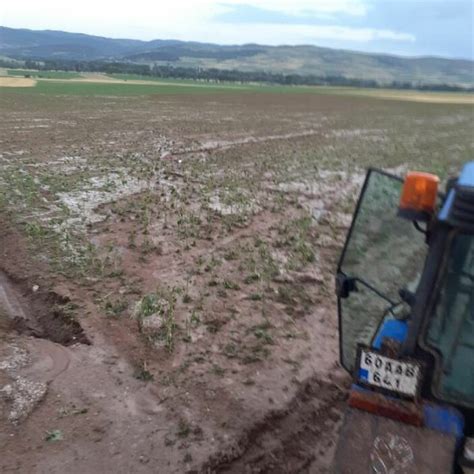 T­o­k­a­t­­t­a­ ­d­o­l­u­ ­y­a­ğ­ı­ş­ı­,­ ­t­a­r­ı­m­ ­a­r­a­z­i­l­e­r­i­n­i­ ­m­a­h­v­e­t­t­i­